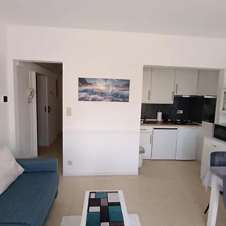 Cosy Ancona - 50M Plage - Chien Ok *