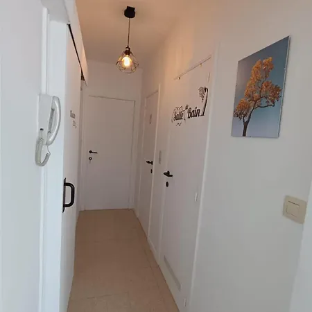 Апартаменты Cosy Ancona - 50M Plage - Chien Ok