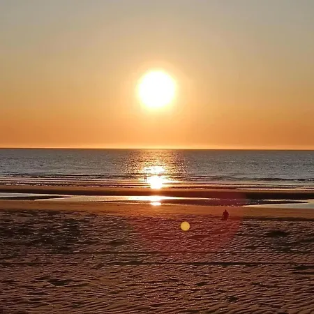 Апартаменты Cosy Ancona - 50M Plage - Chien Ok Коксейде