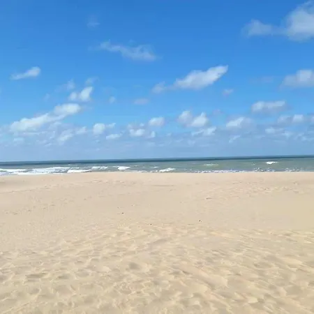Cosy Ancona - 50M Plage - Chien Ok Апартаменты